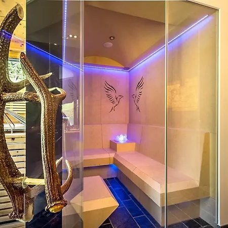 Alpinlodge & 5* ザムナウン