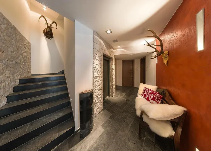 Alpinlodge & Appart hôtel 5*